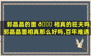 郭晶晶的面 🍀 相真的旺夫吗,郭晶晶面相真那么好吗,百年难遇的旺夫相 🦉 !